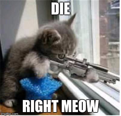 cats with guns | DIE; RIGHT MEOW | image tagged in cats with guns | made w/ Imgflip meme maker