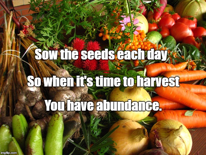 vegetables | Sow the seeds each day; So when it's time to harvest; You have abundance. | image tagged in vegetables | made w/ Imgflip meme maker