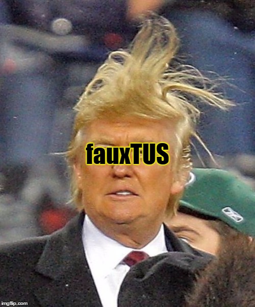 Donald Trumph hair | fauxTUS | image tagged in donald trumph hair | made w/ Imgflip meme maker