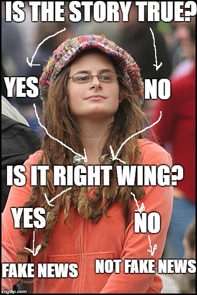 College Liberal | IS THE STORY TRUE? NO; YES; IS IT RIGHT WING? YES; NO; NOT FAKE NEWS; FAKE NEWS | image tagged in memes,college liberal | made w/ Imgflip meme maker