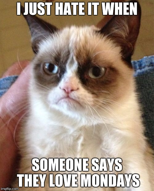 Grumpy Cat | I JUST HATE IT WHEN; SOMEONE SAYS THEY LOVE MONDAYS | image tagged in memes,grumpy cat | made w/ Imgflip meme maker