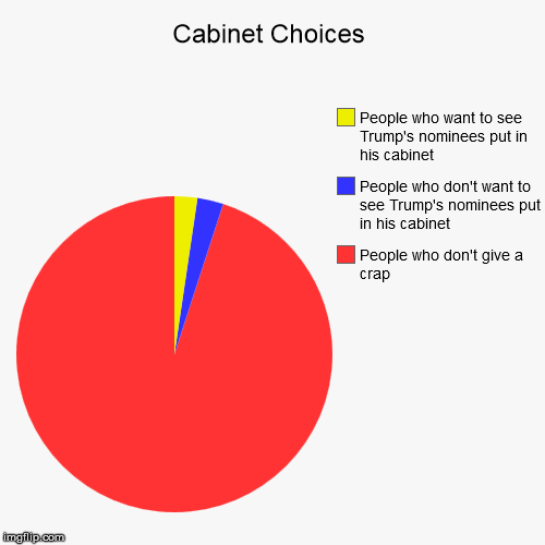 Trump's Cabinet | image tagged in funny,pie charts,cabinet,donald trump approves,president | made w/ Imgflip chart maker