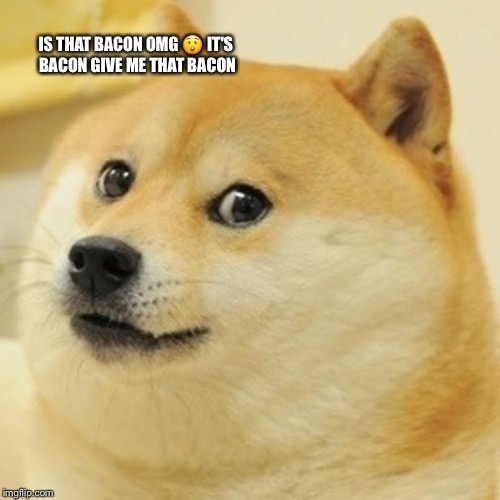 Doge | IS THAT BACON OMG 😲 IT'S BACON GIVE ME THAT BACON | image tagged in memes,doge | made w/ Imgflip meme maker
