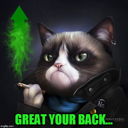 GREAT YOUR BACK... | made w/ Imgflip meme maker