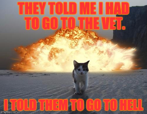 cat explosion | THEY TOLD ME I HAD TO GO TO THE VET. I TOLD THEM TO GO TO HELL | image tagged in cat explosion,go to hell,cats,cat | made w/ Imgflip meme maker