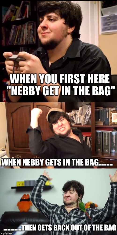Jontron Rage, win, rage | WHEN YOU FIRST HERE "NEBBY GET IN THE BAG"; WHEN NEBBY GETS IN THE BAG......... .............THEN GETS BACK OUT OF THE BAG | image tagged in jontron rage win rage | made w/ Imgflip meme maker