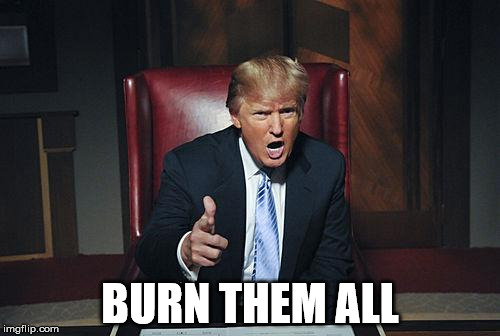 Donald Trump You're Fired | BURN THEM ALL | image tagged in donald trump you're fired | made w/ Imgflip meme maker
