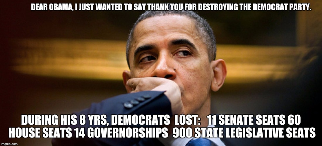 obama destroyed the democratic party | DEAR OBAMA, I JUST WANTED TO SAY THANK YOU FOR DESTROYING THE DEMOCRAT PARTY. DURING HIS 8 YRS, DEMOCRATS  LOST:


11 SENATE SEATS
60 HOUSE SEATS
14 GOVERNORSHIPS 
900 STATE LEGISLATIVE SEATS | image tagged in obama destroyed the democratic party | made w/ Imgflip meme maker