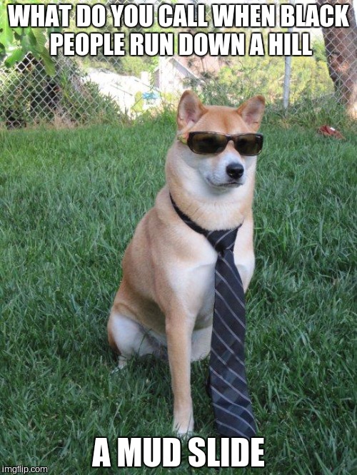 Business doge | WHAT DO YOU CALL WHEN BLACK PEOPLE RUN DOWN A HILL; A MUD SLIDE | image tagged in business doge | made w/ Imgflip meme maker