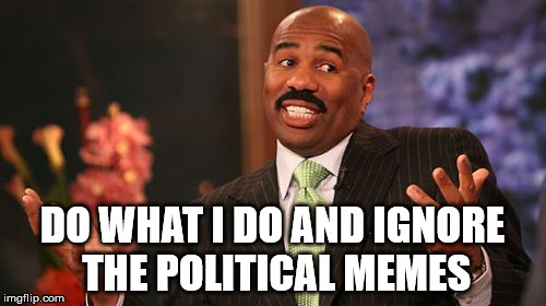 Steve Harvey Meme | DO WHAT I DO AND IGNORE THE POLITICAL MEMES | image tagged in memes,steve harvey | made w/ Imgflip meme maker