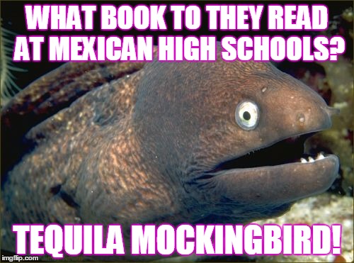 Bad Joke Eel Meme | WHAT BOOK TO THEY READ AT MEXICAN HIGH SCHOOLS? TEQUILA MOCKINGBIRD! | image tagged in memes,bad joke eel,trhtimmy | made w/ Imgflip meme maker