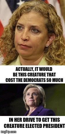 ACTUALLY, IT WOULD BE THIS CREATURE THAT COST THE DEMOCRATS SO MUCH IN HER DRIVE TO GET THIS CREATURE ELECTED PRESIDENT | made w/ Imgflip meme maker