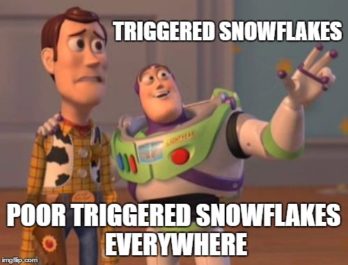 X, X Everywhere Meme | TRIGGERED SNOWFLAKES POOR TRIGGERED SNOWFLAKES EVERYWHERE | image tagged in memes,x x everywhere | made w/ Imgflip meme maker