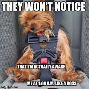 Truth for every kid at 1:00 a.m  | THEY WON'T NOTICE; THAT I'M ACTUALLY AWAKE                                                                                                      ME AT 1:00 A.M. LIKE A BOSS | image tagged in funny,funny dogs,sleeping,not today,fake,deal with it like a boss | made w/ Imgflip meme maker