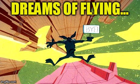 DREAMS OF FLYING... | made w/ Imgflip meme maker