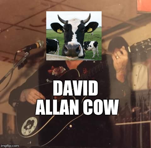 david allan cow | DAVID ALLAN COW | image tagged in dac,country music,outlaws,david allan coe | made w/ Imgflip meme maker