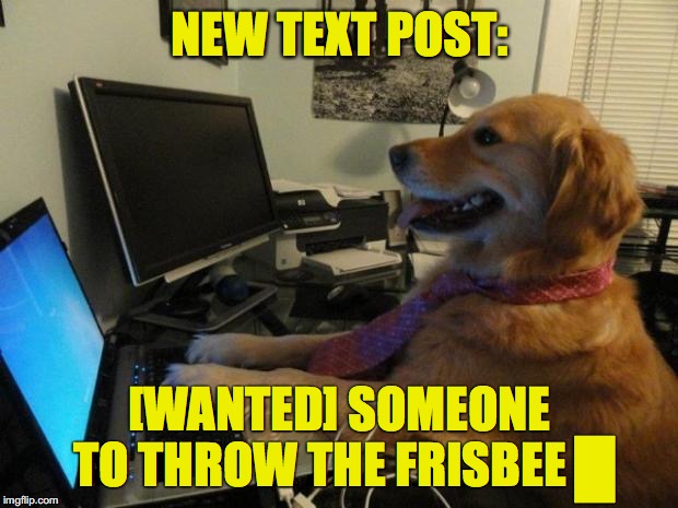 Dog behind a computer | NEW TEXT POST:; [WANTED] SOMEONE TO THROW THE FRISBEE █ | image tagged in dog behind a computer | made w/ Imgflip meme maker