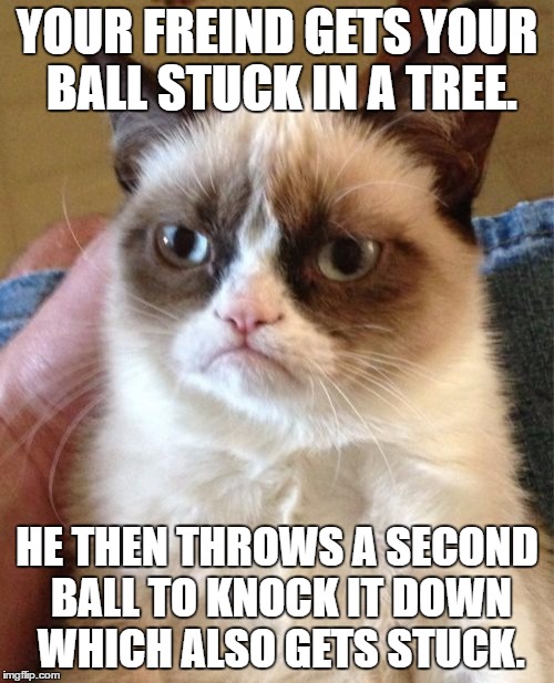 Grumpy Cat Meme | YOUR FREIND GETS YOUR BALL STUCK IN A TREE. HE THEN THROWS A SECOND BALL TO KNOCK IT DOWN WHICH ALSO GETS STUCK. | image tagged in memes,grumpy cat | made w/ Imgflip meme maker