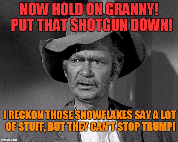 Jed Clampett | NOW HOLD ON GRANNY!  PUT THAT SHOTGUN DOWN! I RECKON THOSE SNOWFLAKES SAY A LOT OF STUFF, BUT THEY CAN'T STOP TRUMP! | image tagged in jed clampett | made w/ Imgflip meme maker