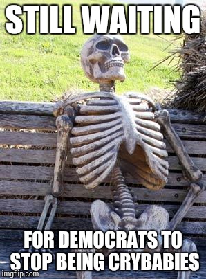 Waiting Skeleton | STILL WAITING; FOR DEMOCRATS TO STOP BEING CRYBABIES | image tagged in memes,waiting skeleton | made w/ Imgflip meme maker