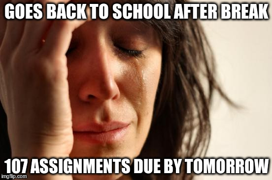 First World Problems Meme | GOES BACK TO SCHOOL AFTER BREAK; 107 ASSIGNMENTS DUE BY TOMORROW | image tagged in memes,first world problems | made w/ Imgflip meme maker