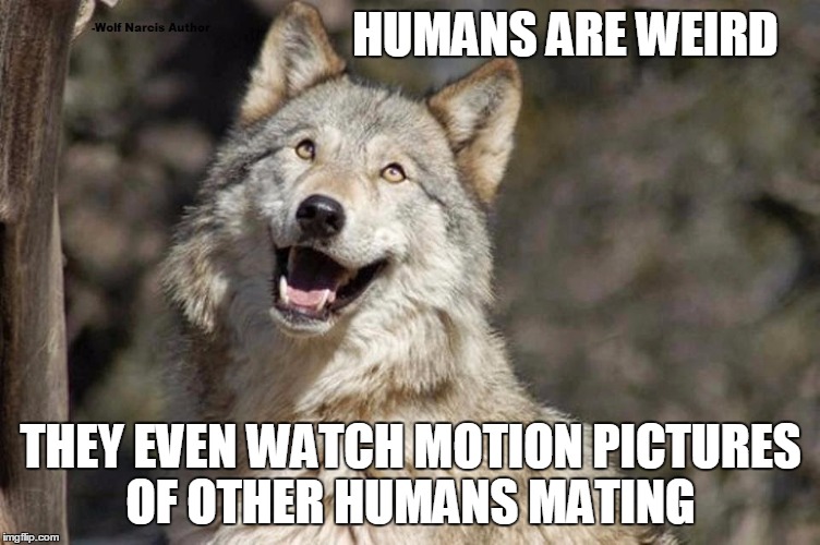 Optimistic Moon Moon Wolf Vanadium Wolf | HUMANS ARE WEIRD; THEY EVEN WATCH MOTION PICTURES OF OTHER HUMANS MATING | image tagged in optimistic moon moon wolf vanadium wolf | made w/ Imgflip meme maker