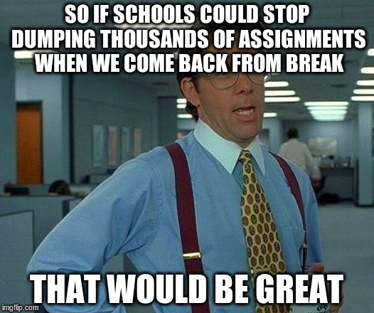 That Would Be Great | SO IF SCHOOLS COULD STOP DUMPING THOUSANDS OF ASSIGNMENTS WHEN WE COME BACK FROM BREAK; THAT WOULD BE GREAT | image tagged in memes,that would be great | made w/ Imgflip meme maker