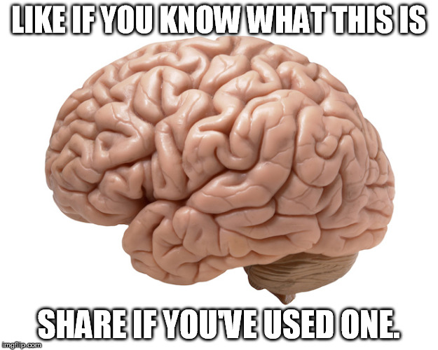 If only the people in my social media could share this honestly | LIKE IF YOU KNOW WHAT THIS IS; SHARE IF YOU'VE USED ONE. | image tagged in a brain,brain,use it,meme,humor | made w/ Imgflip meme maker
