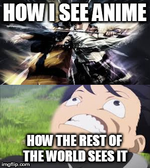 HOW I SEE ANIME; HOW THE REST OF THE WORLD SEES IT | image tagged in anime | made w/ Imgflip meme maker