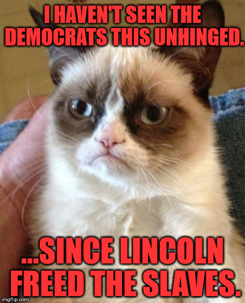 Grumpy Cat | I HAVEN'T SEEN THE DEMOCRATS THIS UNHINGED. ...SINCE LINCOLN FREED THE SLAVES. | image tagged in memes,grumpy cat,funny,politics,obama,donald trump | made w/ Imgflip meme maker
