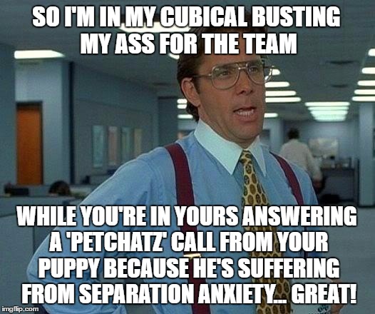 When your co-workers find out you've purchased 'Petchatz' for your dog | SO I'M IN MY CUBICAL BUSTING MY ASS FOR THE TEAM; WHILE YOU'RE IN YOURS ANSWERING A 'PETCHATZ' CALL FROM YOUR PUPPY BECAUSE HE'S SUFFERING FROM SEPARATION ANXIETY... GREAT! | image tagged in memes,that would be great,pet humor,dogs,no way,coworkers | made w/ Imgflip meme maker