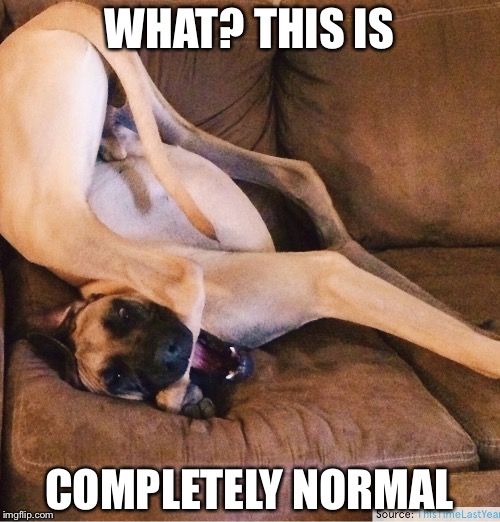 This is normal... | WHAT? THIS IS; COMPLETELY NORMAL | image tagged in funny | made w/ Imgflip meme maker