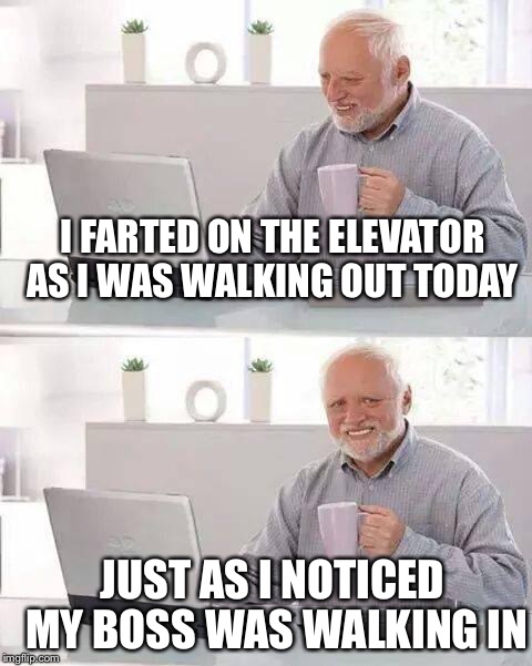 Hide the Pain Harold Meme | I FARTED ON THE ELEVATOR AS I WAS WALKING OUT TODAY; JUST AS I NOTICED MY BOSS WAS WALKING IN | image tagged in memes,hide the pain harold | made w/ Imgflip meme maker