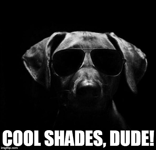 COOL SHADES, DUDE! | made w/ Imgflip meme maker