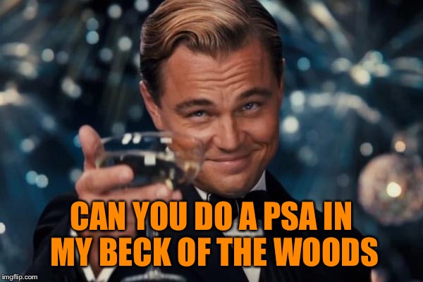 Leonardo Dicaprio Cheers Meme | CAN YOU DO A PSA IN MY BECK OF THE WOODS | image tagged in memes,leonardo dicaprio cheers | made w/ Imgflip meme maker