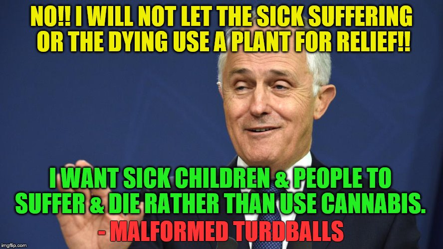 Malformed Turdballs | NO!! I WILL NOT LET THE SICK SUFFERING OR THE DYING USE A PLANT FOR RELIEF!! I WANT SICK CHILDREN & PEOPLE TO SUFFER & DIE RATHER THAN USE CANNABIS. - MALFORMED TURDBALLS | image tagged in malformed turdballs | made w/ Imgflip meme maker