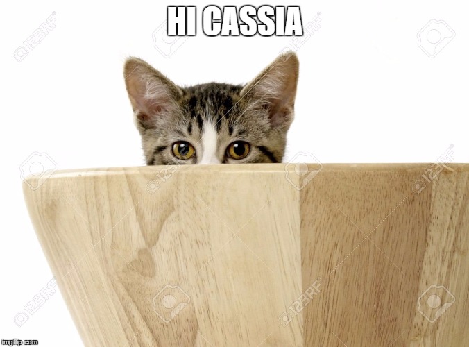 HI CASSIA | made w/ Imgflip meme maker