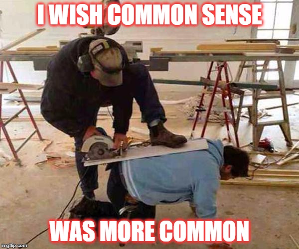 Common Sense | I WISH COMMON SENSE; WAS MORE COMMON | image tagged in common sense | made w/ Imgflip meme maker