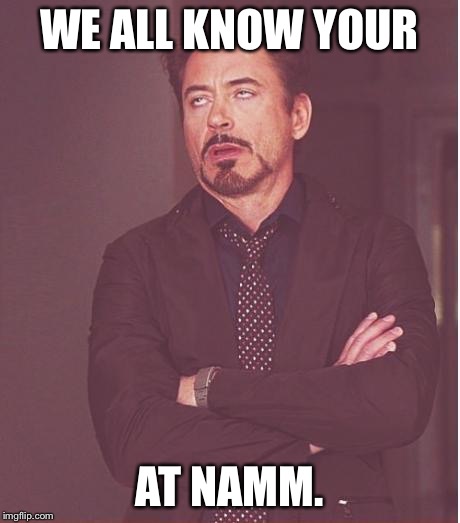 Face You Make Robert Downey Jr Meme | WE ALL KNOW YOUR; AT NAMM. | image tagged in memes,face you make robert downey jr | made w/ Imgflip meme maker