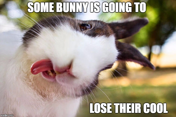 Lose my mind | SOME BUNNY IS GOING TO; LOSE THEIR COOL | image tagged in funny animals,bad puns,puns,cool,bunny,rabbits | made w/ Imgflip meme maker