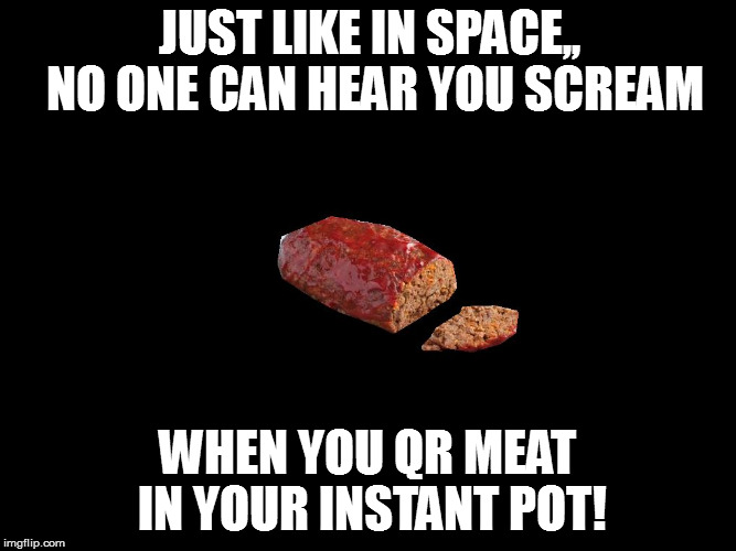 Meatloaf | JUST LIKE IN SPACE,, NO ONE CAN HEAR YOU SCREAM; WHEN YOU QR MEAT IN YOUR INSTANT POT! | image tagged in meatloaf | made w/ Imgflip meme maker