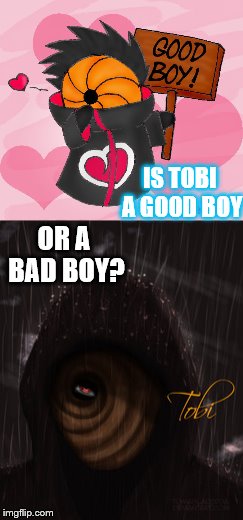 Tobi: A good boy that likes world domination | IS TOBI A GOOD BOY; OR A BAD BOY? | image tagged in memes | made w/ Imgflip meme maker