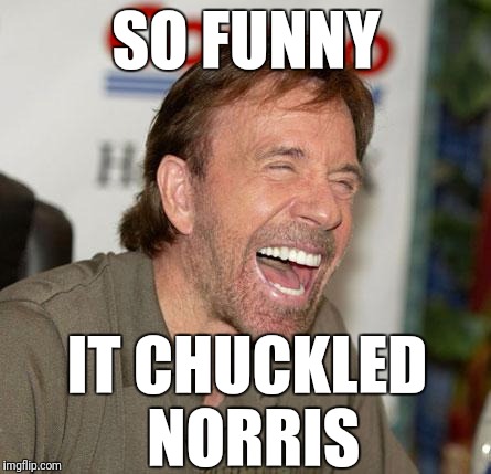 Chuck Norris Laughing | SO FUNNY; IT CHUCKLED NORRIS | image tagged in memes,chuck norris laughing,chuck norris | made w/ Imgflip meme maker