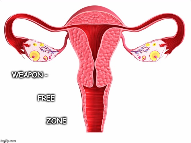 Uterus jokes | WEAPON -                                                        FREE                                                             ZONE | image tagged in uterus jokes | made w/ Imgflip meme maker