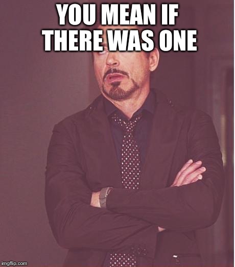 Face You Make Robert Downey Jr Meme | YOU MEAN IF THERE WAS ONE | image tagged in memes,face you make robert downey jr | made w/ Imgflip meme maker