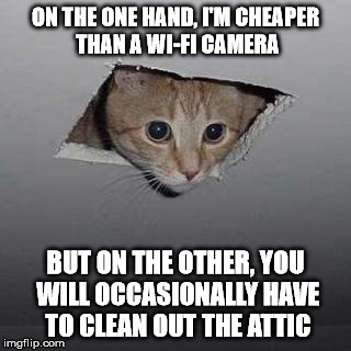 Security Catera | ON THE ONE HAND, I'M CHEAPER THAN A WI-FI CAMERA; BUT ON THE OTHER, YOU WILL OCCASIONALLY HAVE TO CLEAN OUT THE ATTIC | image tagged in memes,ceiling cat,camera | made w/ Imgflip meme maker