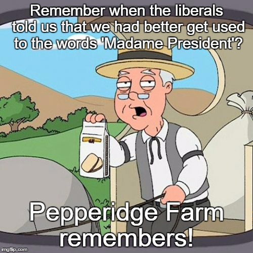 Pepperidge Farm Remembers Meme | Remember when the liberals told us that we had better get used to the words 'Madame President'? Pepperidge Farm remembers! | image tagged in memes,pepperidge farm remembers | made w/ Imgflip meme maker