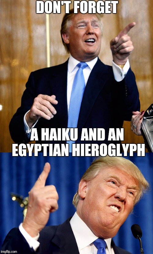 DON'T FORGET A HAIKU AND AN EGYPTIAN HIEROGLYPH | made w/ Imgflip meme maker