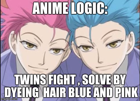 Hikaru and Kaoru | ANIME LOGIC:; TWINS FIGHT , SOLVE BY DYEING  HAIR BLUE AND PINK | image tagged in hikaru and kaoru | made w/ Imgflip meme maker