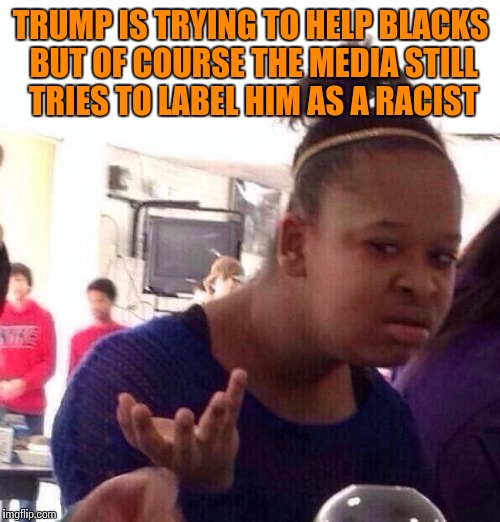 Black Girl Wat Meme | TRUMP IS TRYING TO HELP BLACKS BUT OF COURSE THE MEDIA STILL TRIES TO LABEL HIM AS A RACIST | image tagged in memes,black girl wat | made w/ Imgflip meme maker